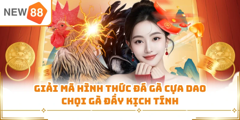 Giải mã hình thức đá gà cựa dao chọi gà đầy kịch tính
