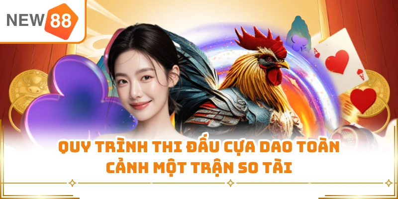 Quy trình thi đấu cựa dao toàn cảnh một trận so tài