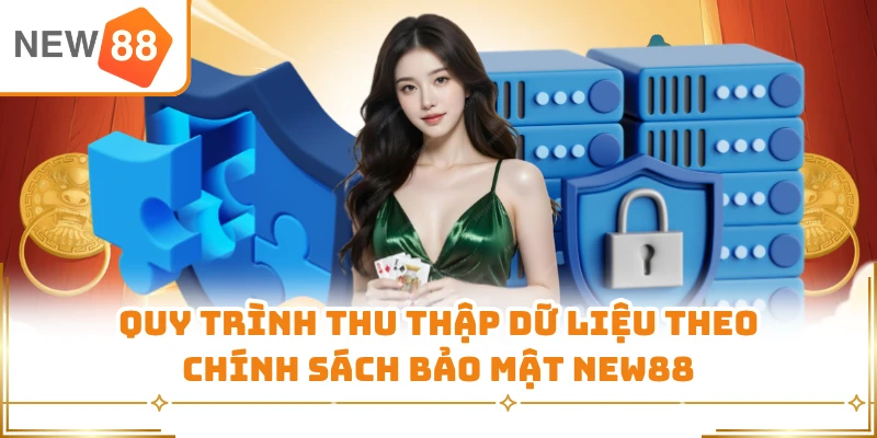 Quy trình thu thập dữ liệu theo chính sách bảo mật New88