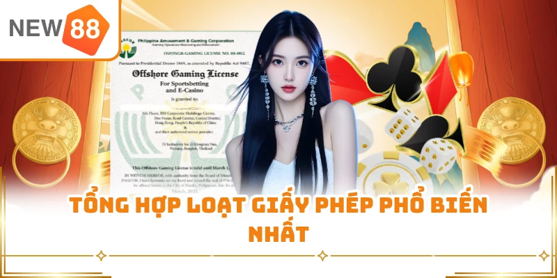 Tổng hợp loạt giấy phép phổ biến nhất